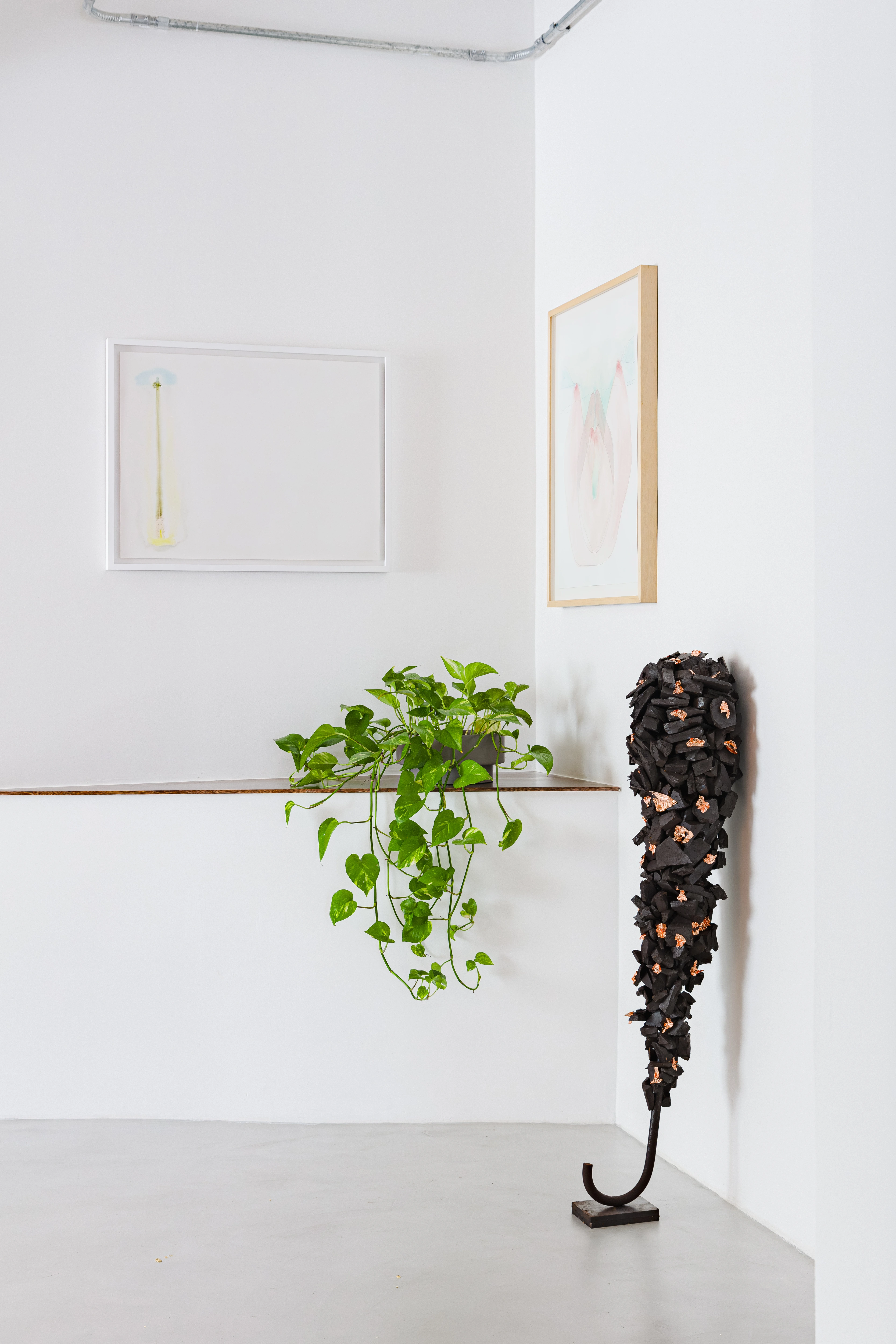 Elegant interior with white walls, wall art, and plants