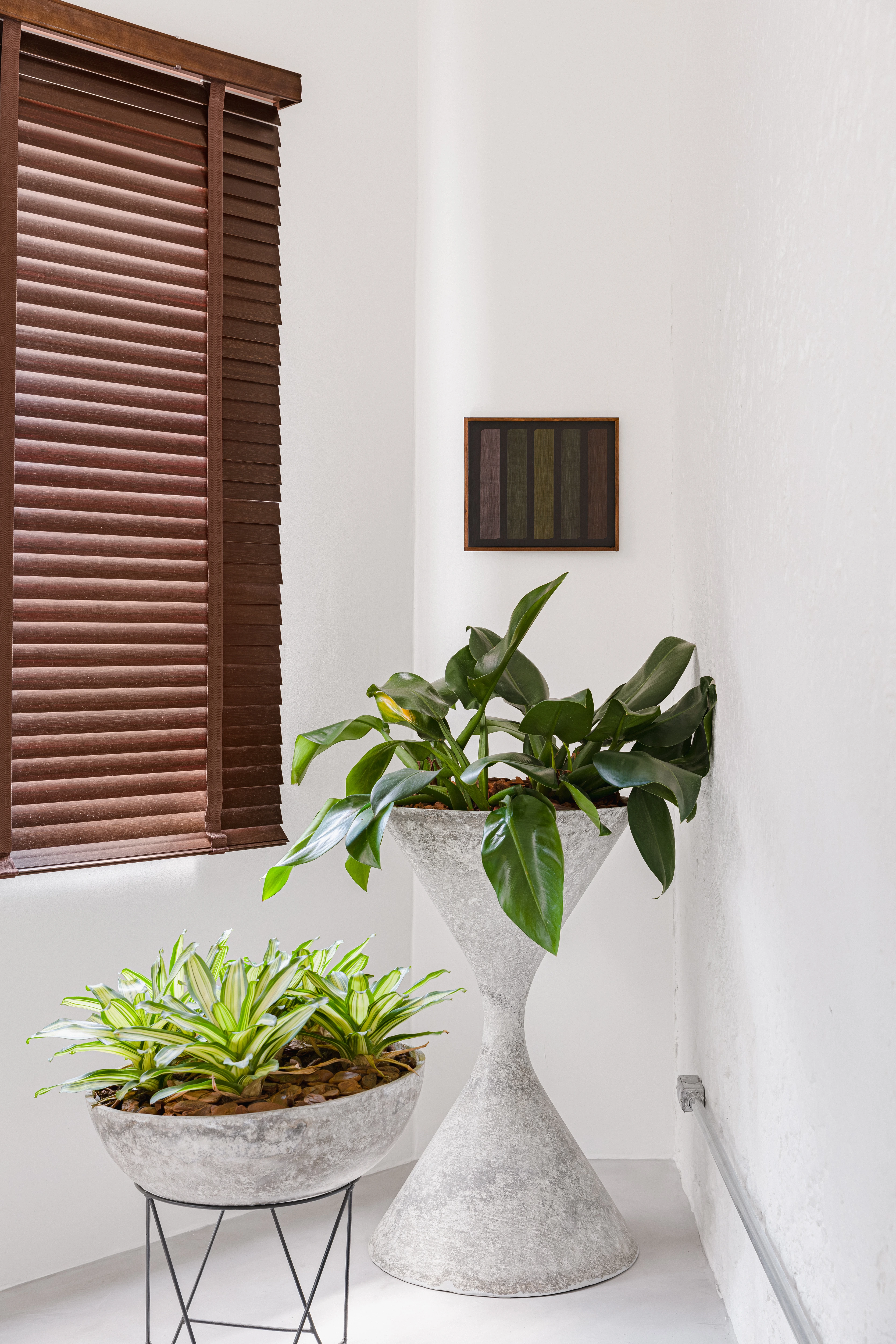 Elegant interior with white walls, wall art, and plants