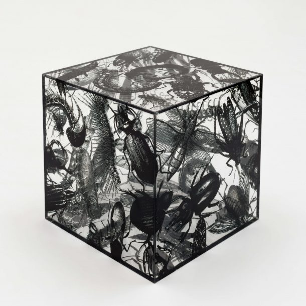 Ninho (Black), 2020, impressão digital sobre acrílico cristal, 18 x 18 x 18 cm, Edição 15 + 4PA © Bruno Leão
